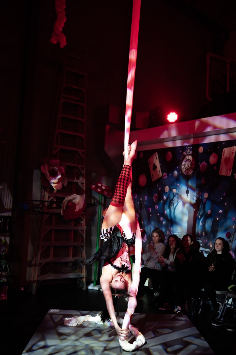 Aerial arts performance · Erin White Photography