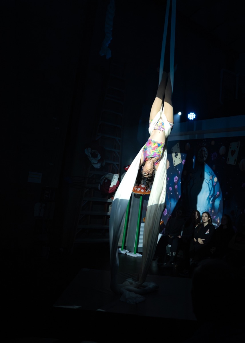 Aerial arts performance · Erin White Photography