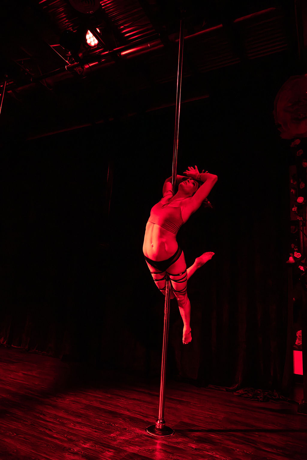 Static pole at Luna Aerial Dance Frederick Maryland · Erin White Photography