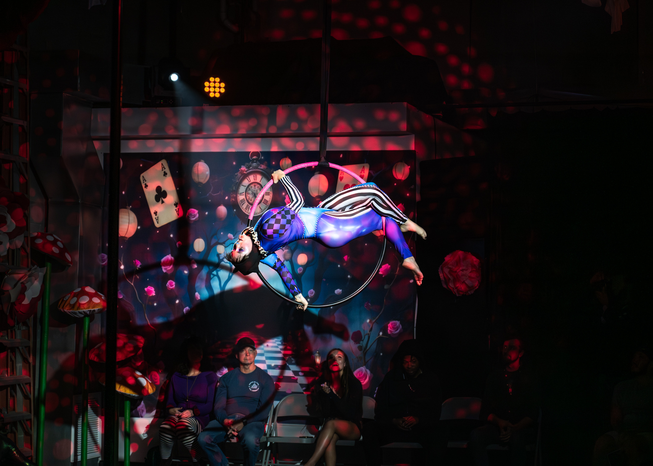 Adult aerial training at Luna Aerial Dance performing arts center in Frederick, Maryland · Erin White Photography