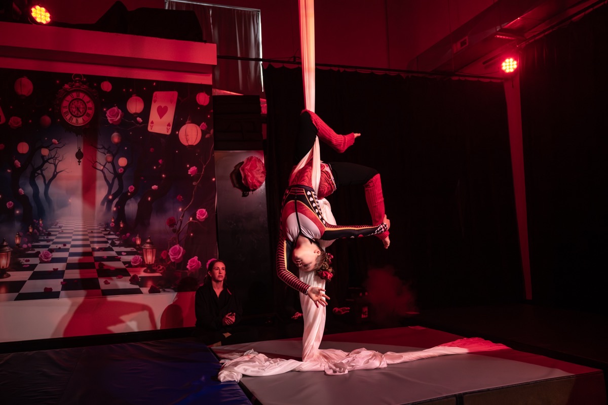 Aerial arts performance · Erin White Photography