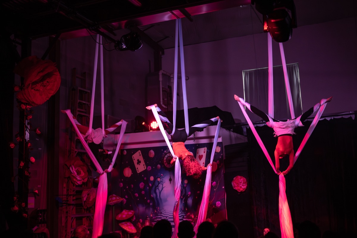 Aerial arts performance · Erin White Photography
