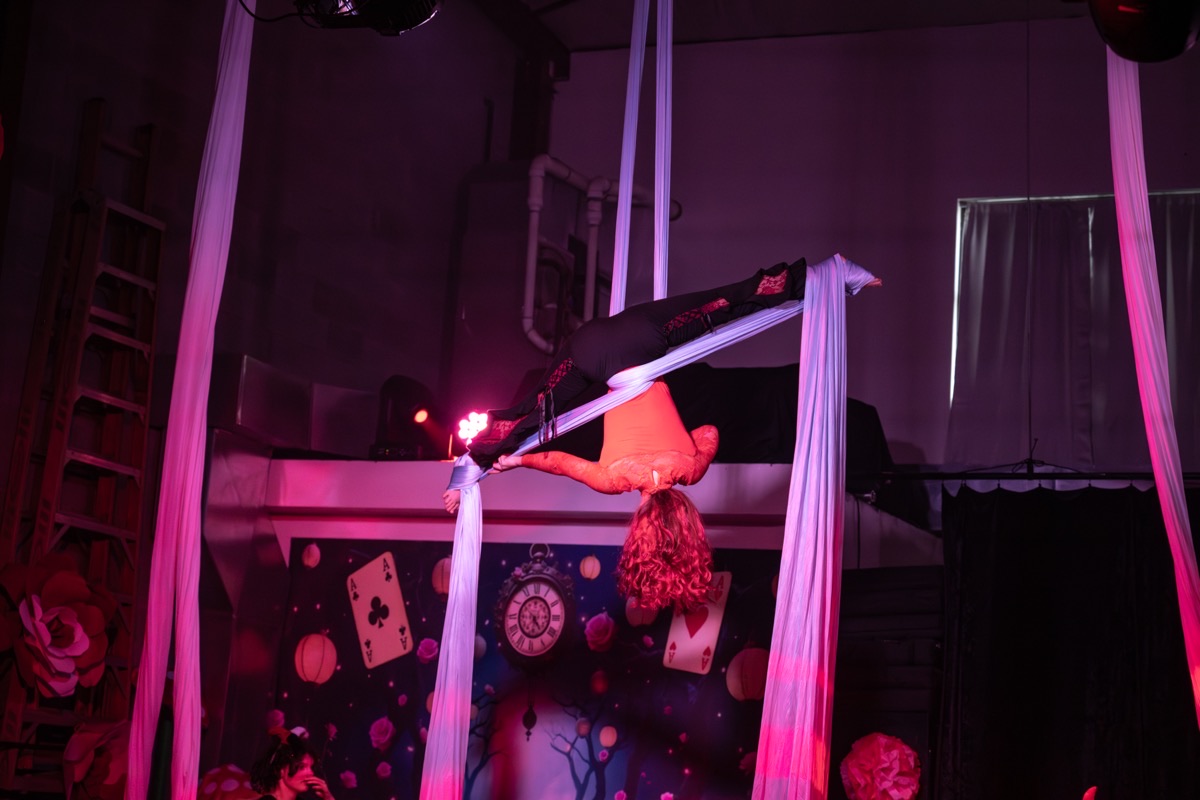 Aerial arts performance · Erin White Photography
