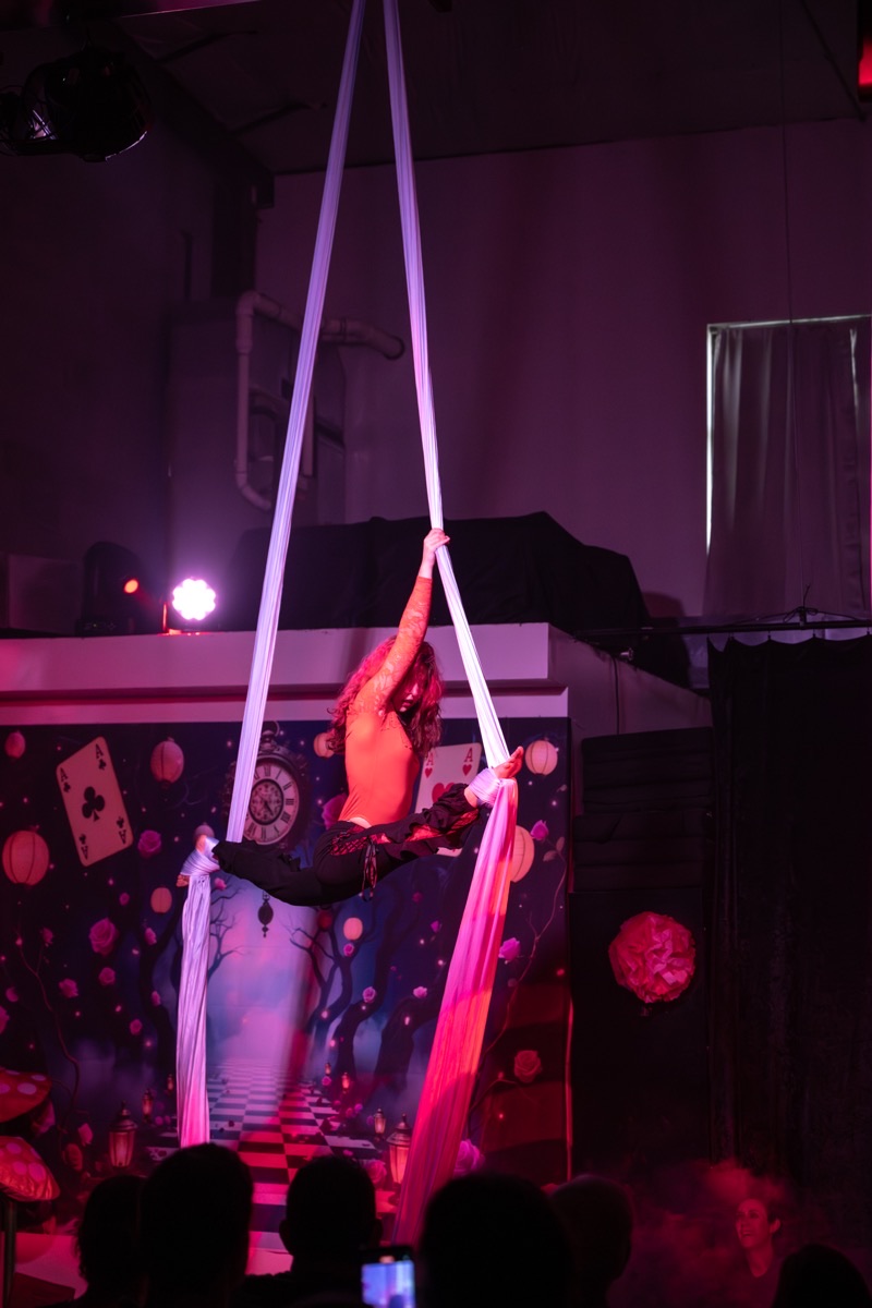 Aerial arts performance · Erin White Photography