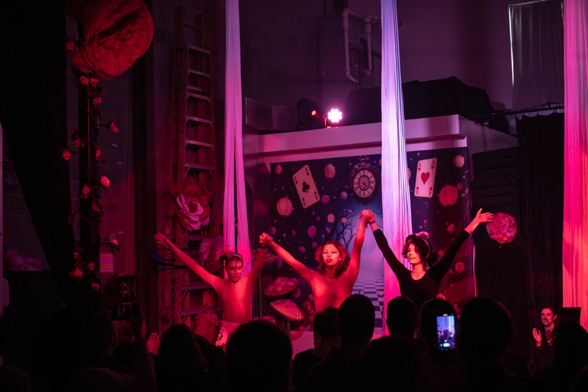 Aerial arts performance · Erin White Photography