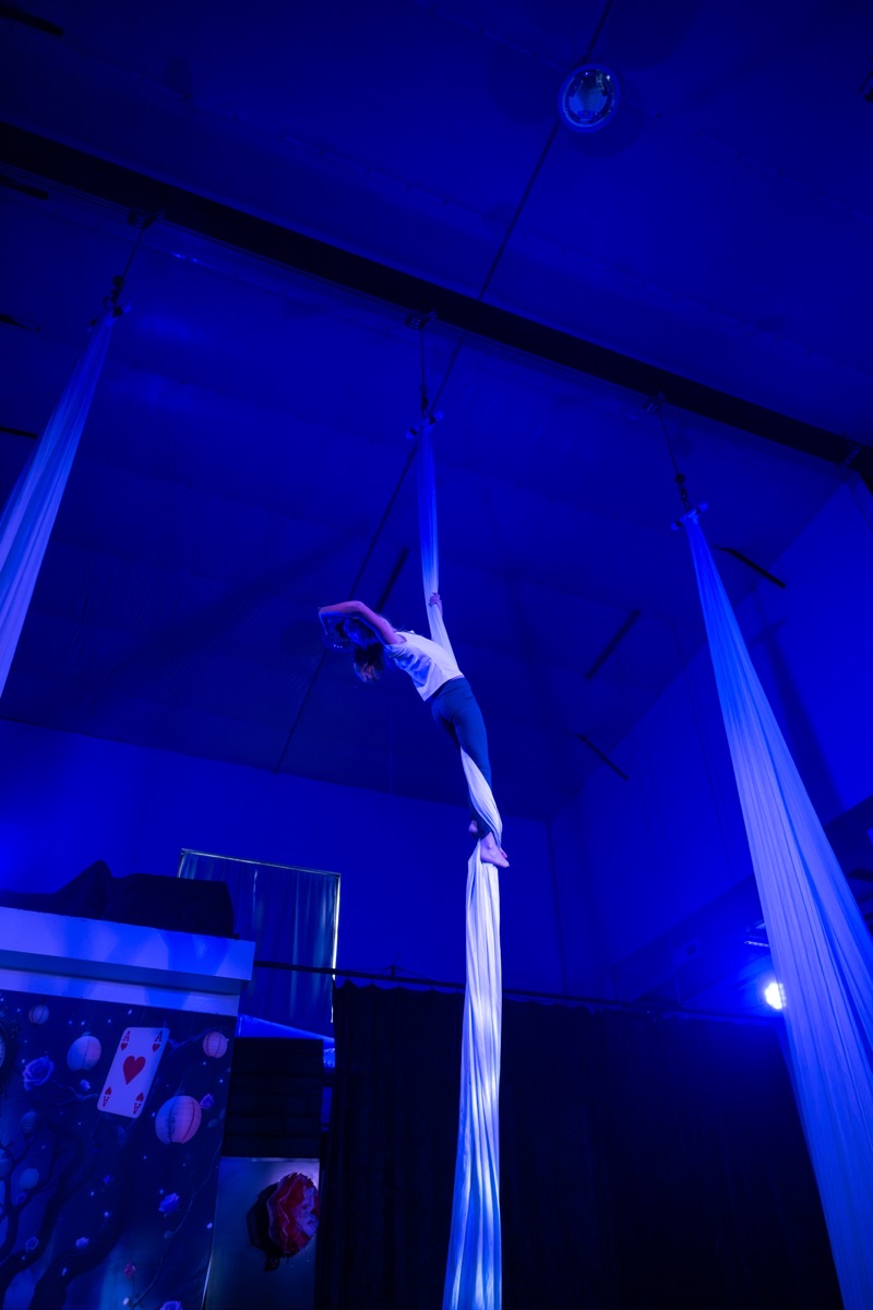 Aerial arts performance · Erin White Photography