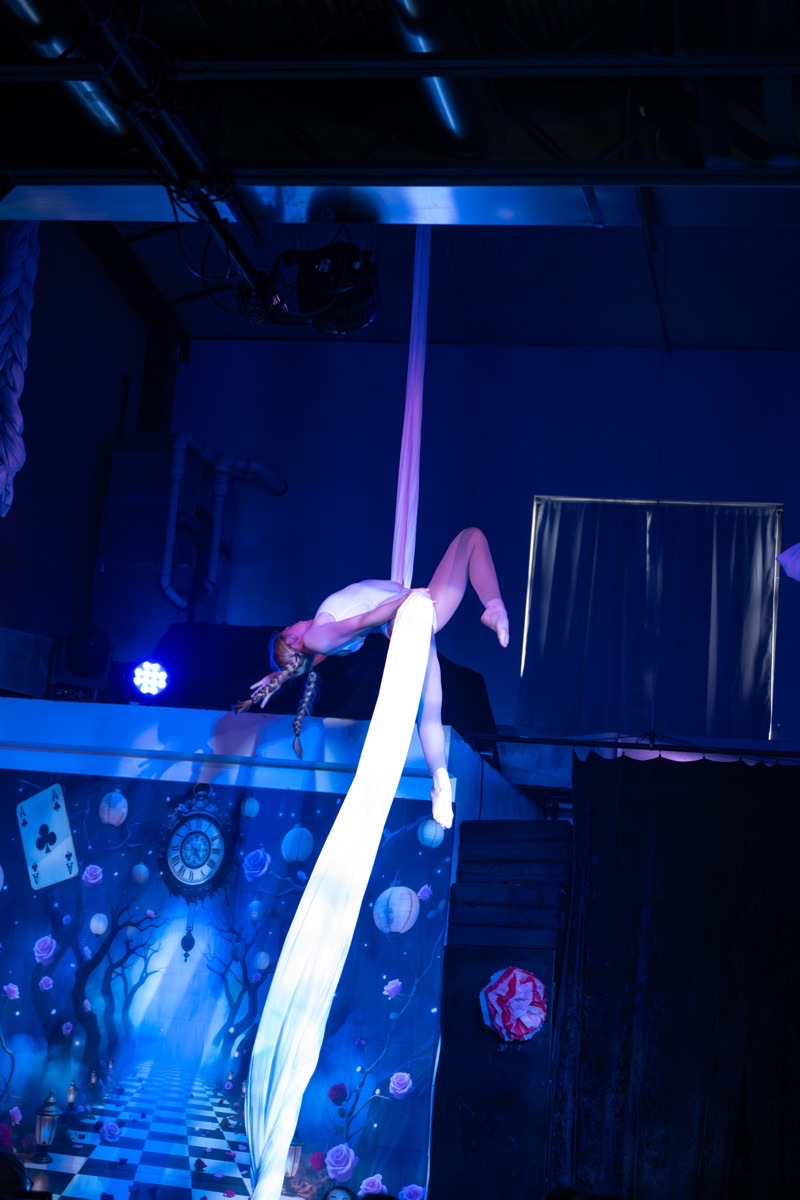 Aerial arts performance · Erin White Photography