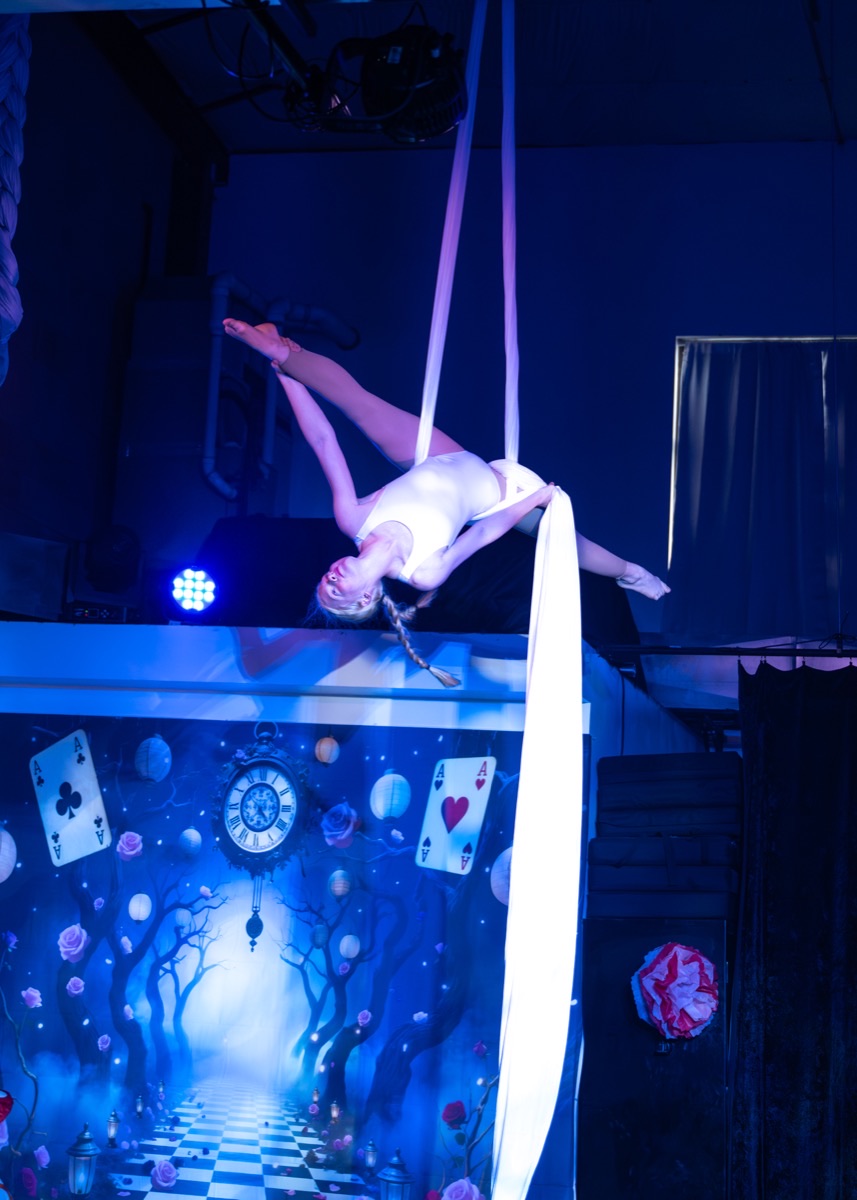 Aerial arts performance · Erin White Photography