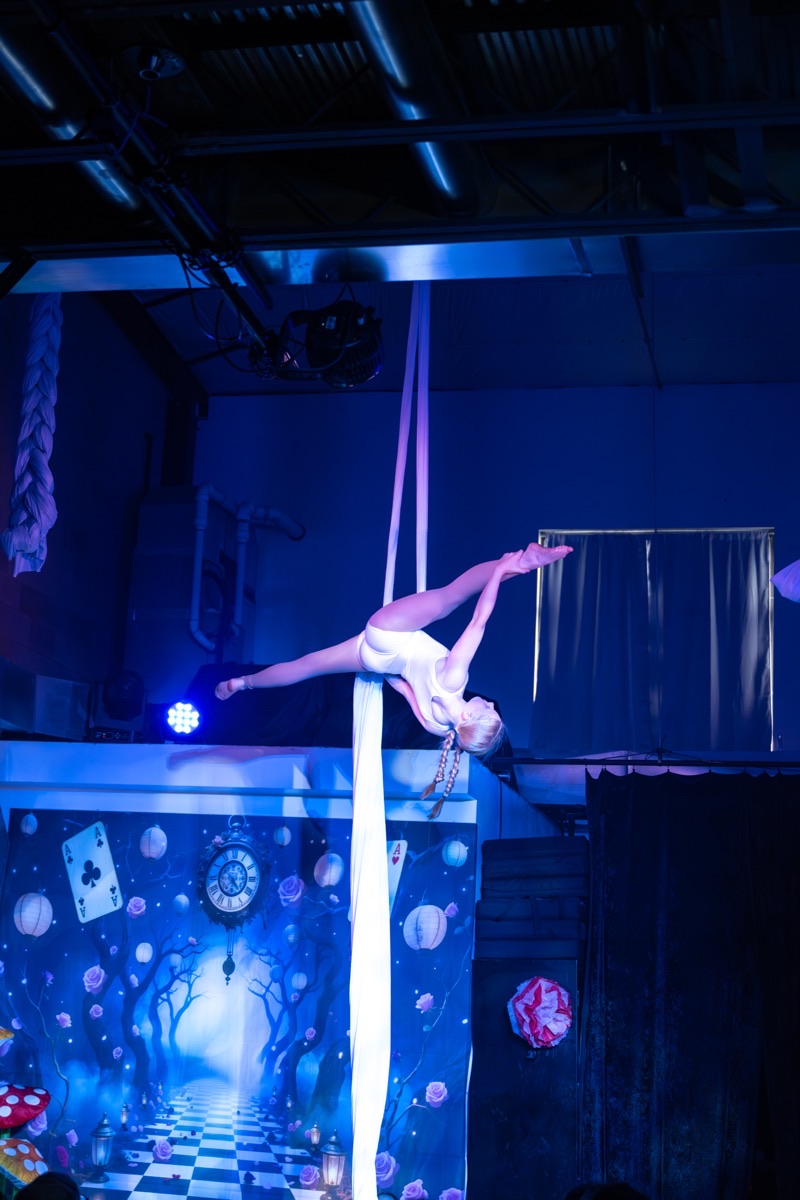 Aerial arts performance · Erin White Photography