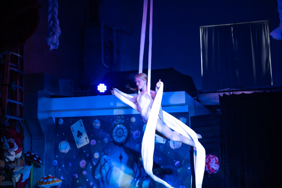 Aerial arts performance · Erin White Photography