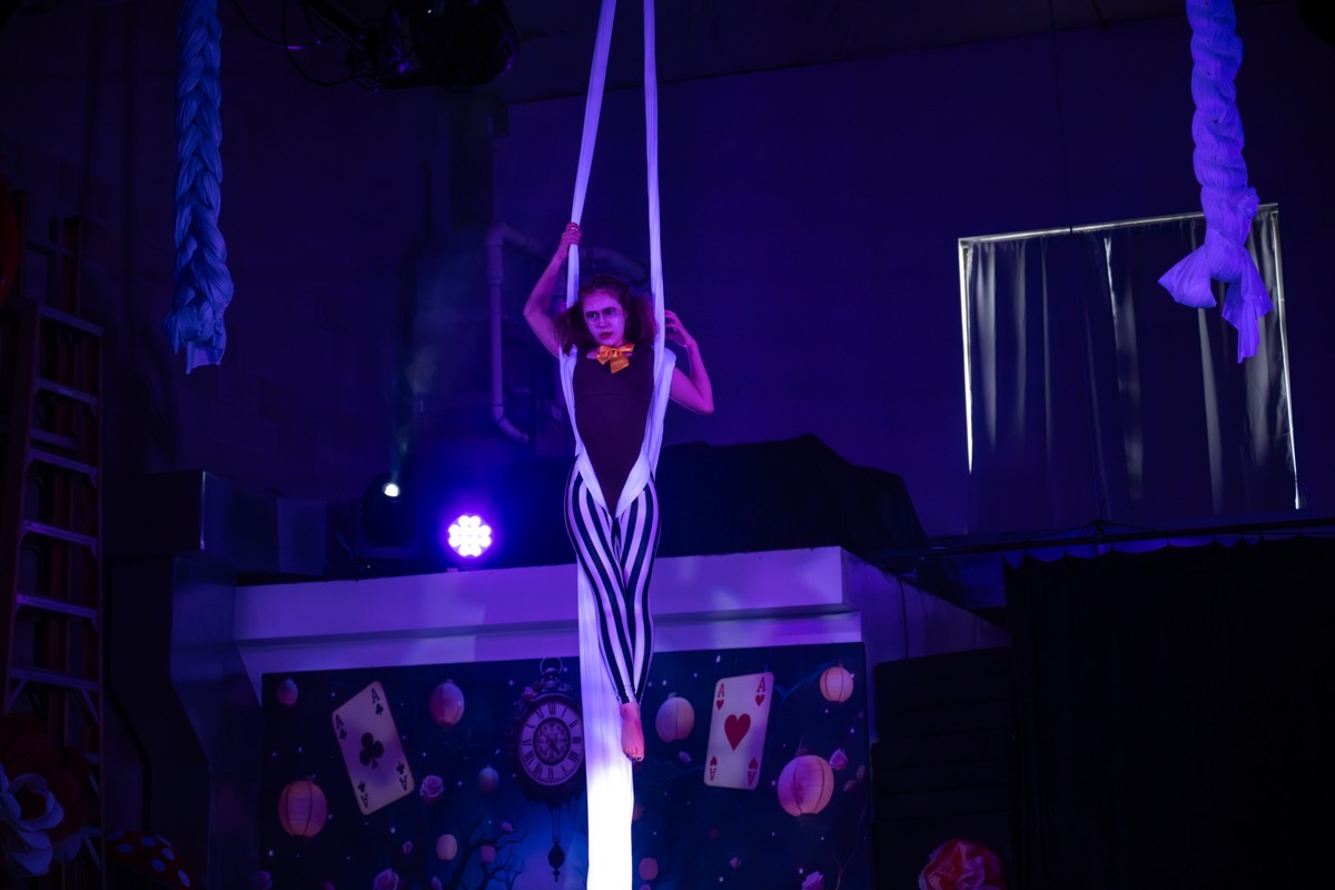 Aerial arts performance · Erin White Photography
