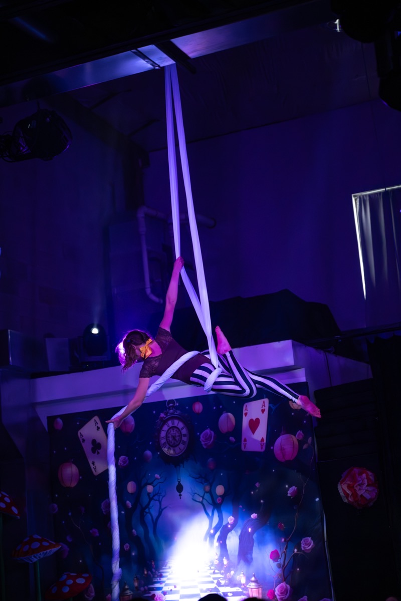 Youth aerial arts at Luna Aerial Dance Frederick Maryland · Erin White Photography