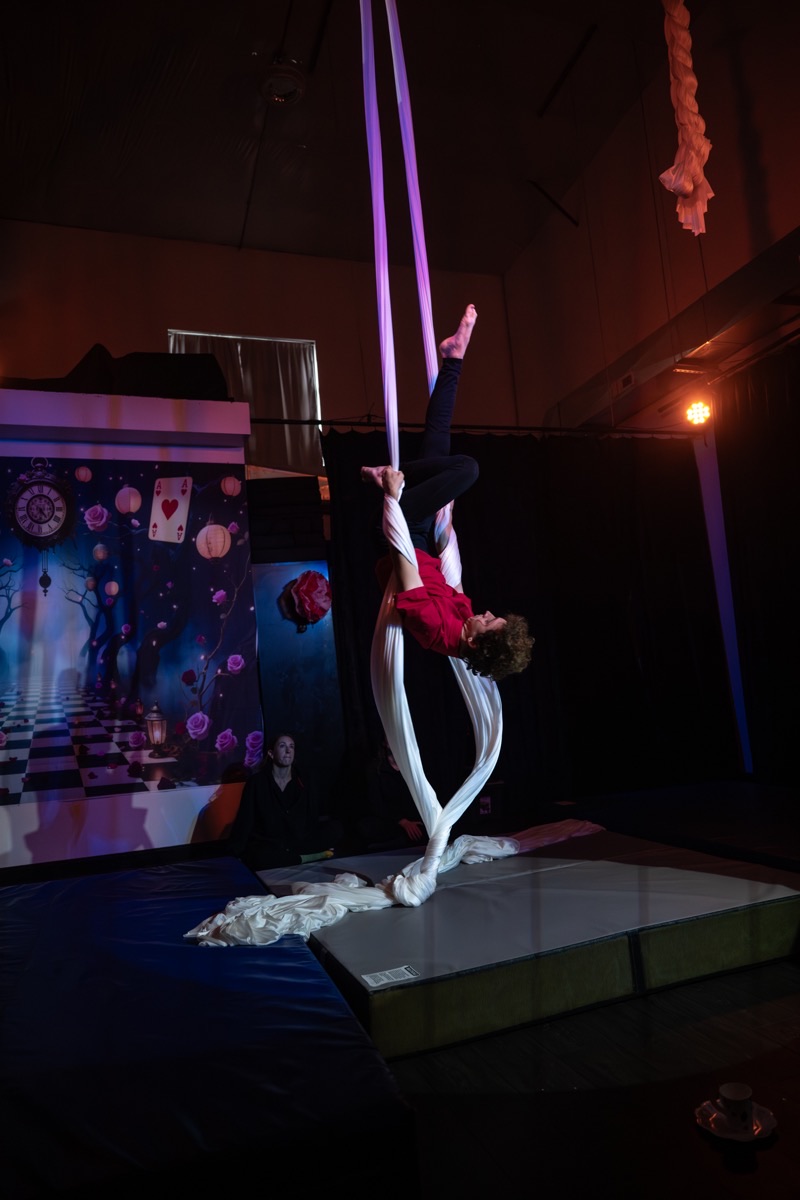 Aerial arts performance · Erin White Photography