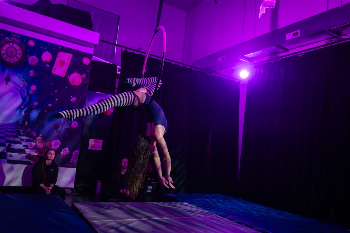 Aerial arts performance · Erin White Photography