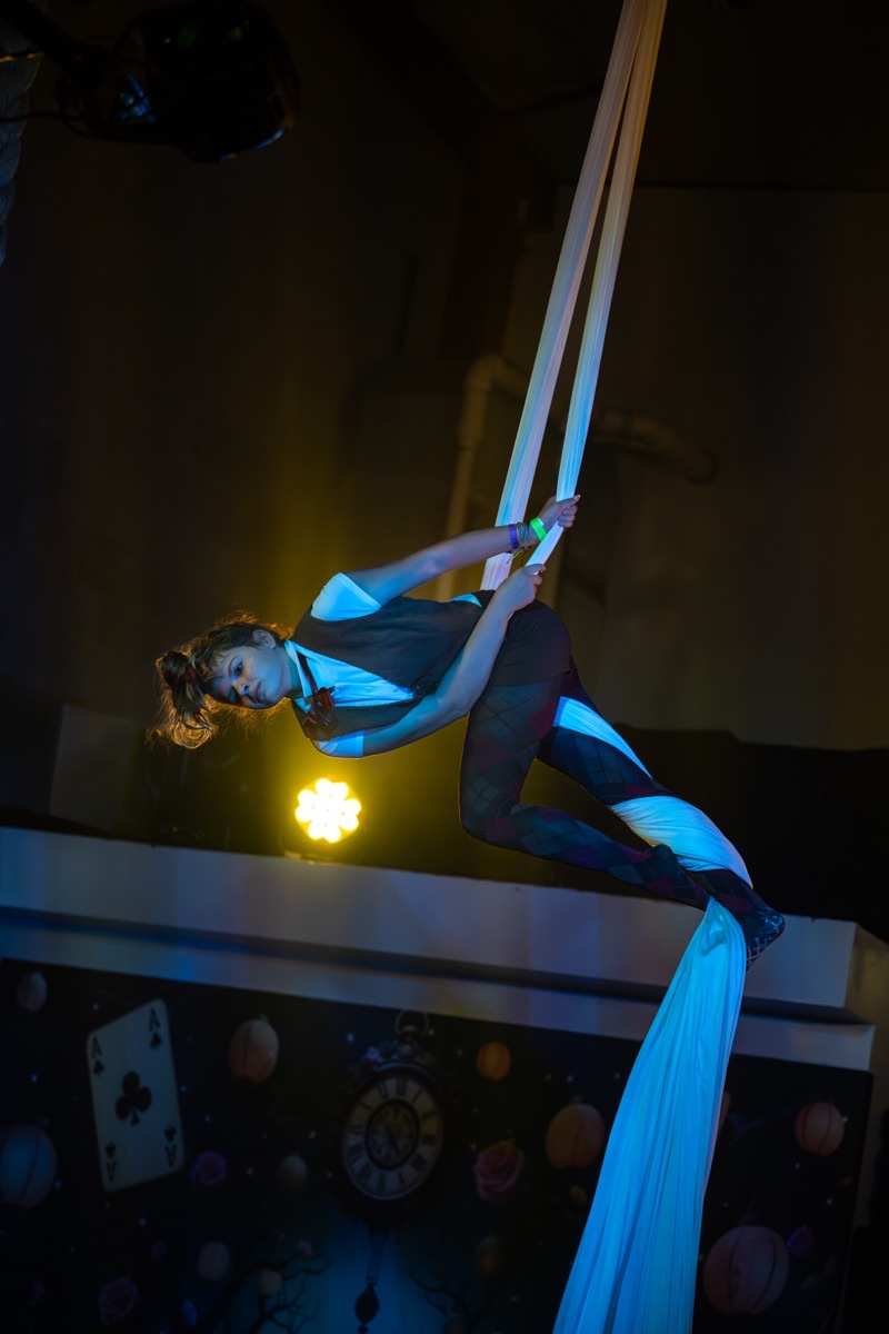 Aerial arts performance · Erin White Photography