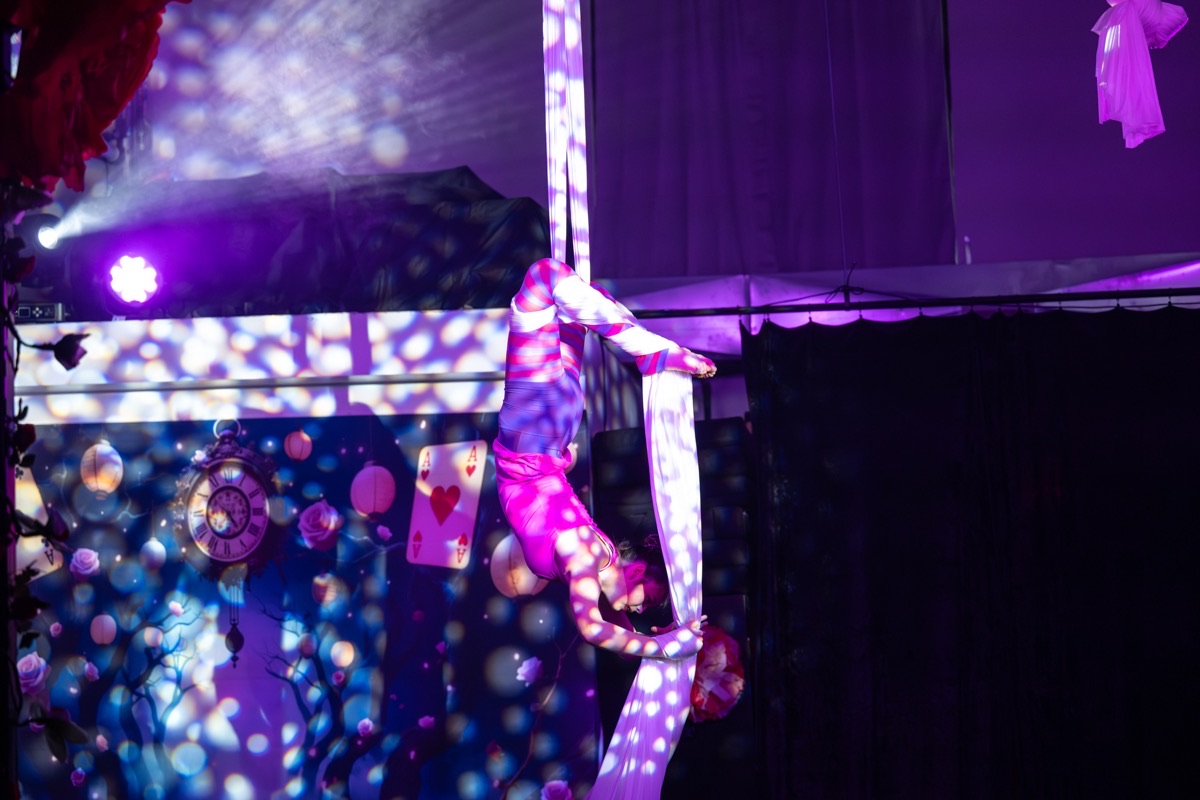 Aerial arts performance · Erin White Photography