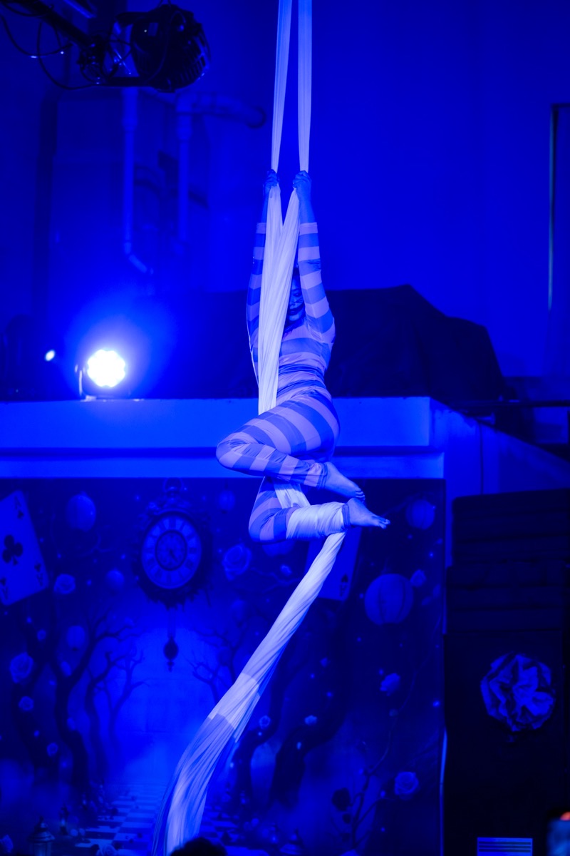 Aerial arts performance · Erin White Photography