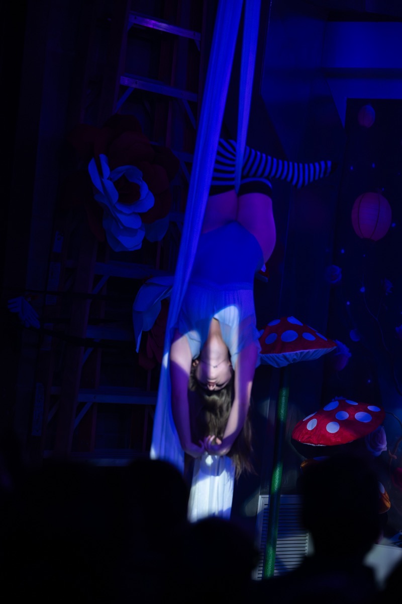 Aerial arts performance · Erin White Photography
