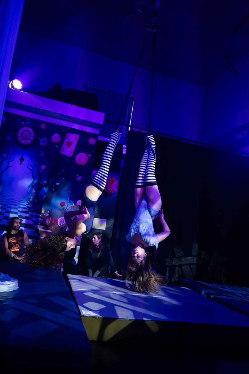 Aerial arts performance · Erin White Photography